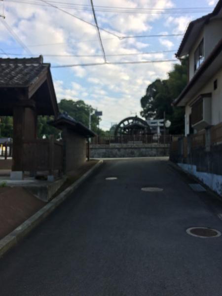 犬猫！かわいい画像