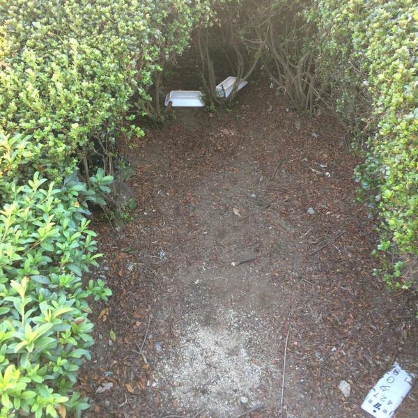 災害ボランティアも行ってきたよー画像