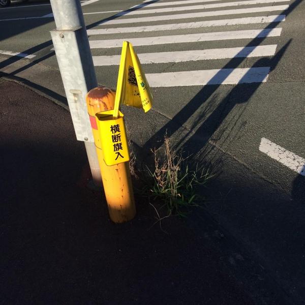 災害ボランティアも行ってきたよー画像