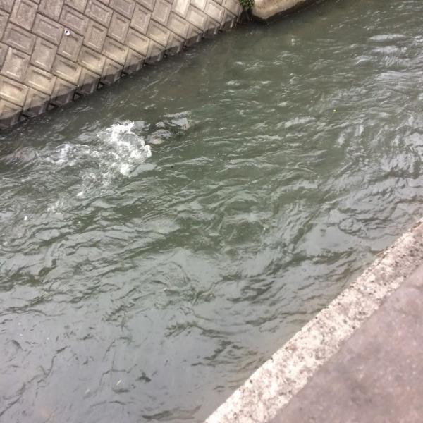 大津町の庁舎の工事が始まりました！画像