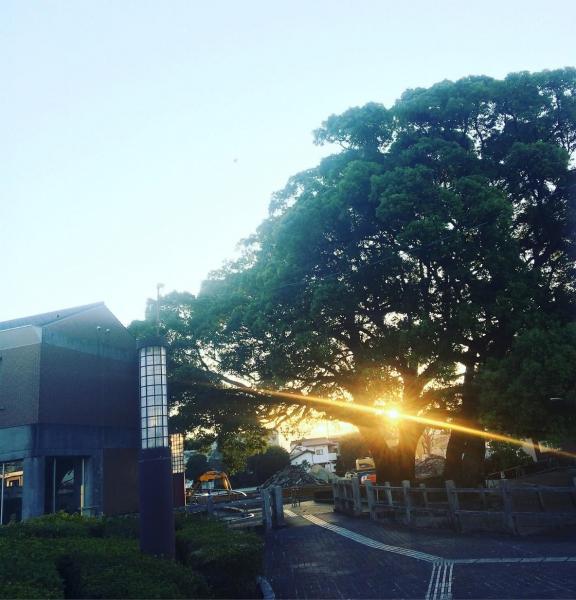 日差しが眩しい朝掃除画像