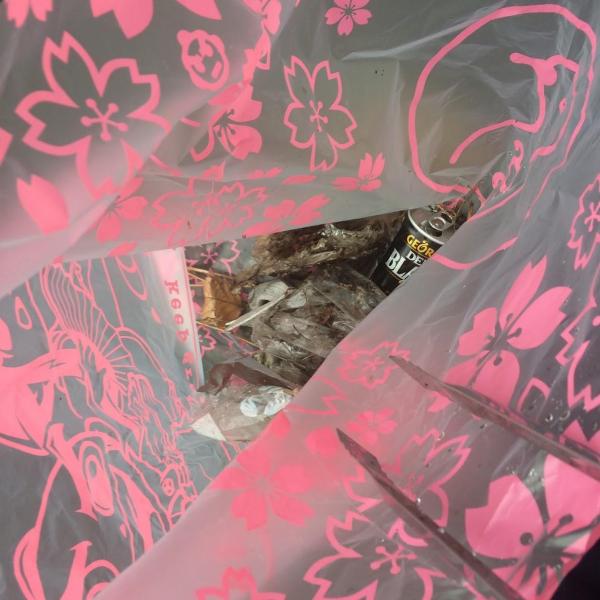 日差しが眩しい朝掃除画像