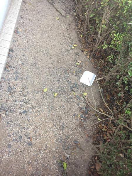 大津のシンボルどうなるかな画像