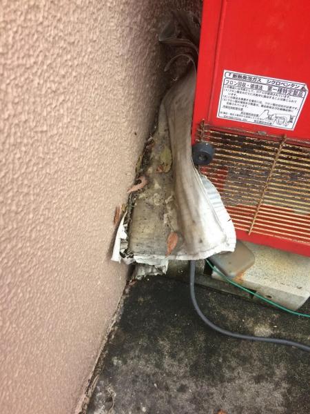 楽しいお掃除一人でしたが画像