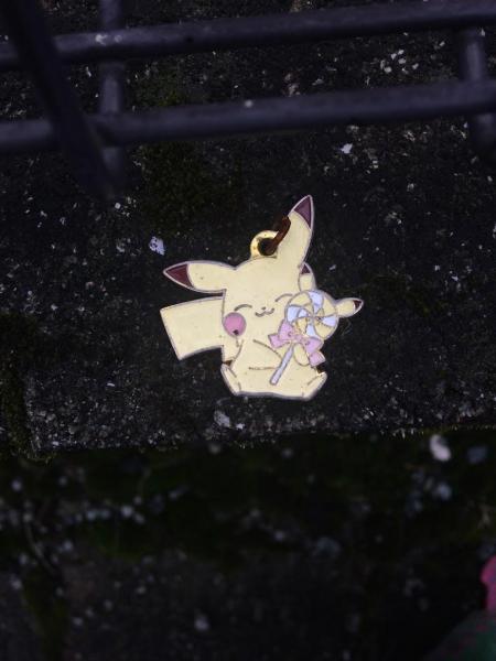 楽しいお掃除一人でしたが画像