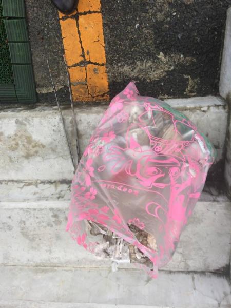 楽しいお掃除一人でしたが画像