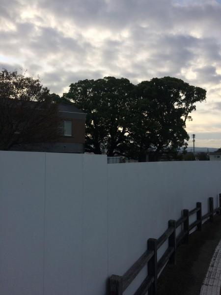 傘ってみなさんどうしてます？？画像