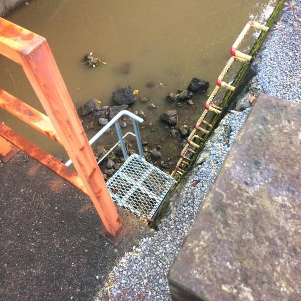念願の！！！川底掃除！画像