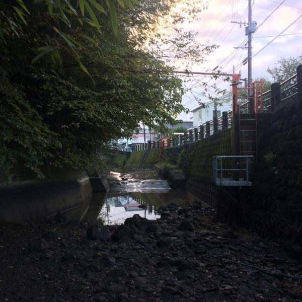 念願の！！！川底掃除！画像