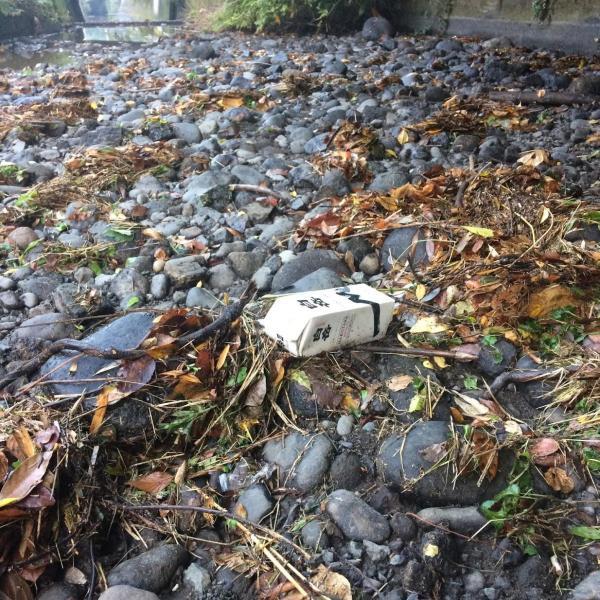 念願の！！！川底掃除！画像