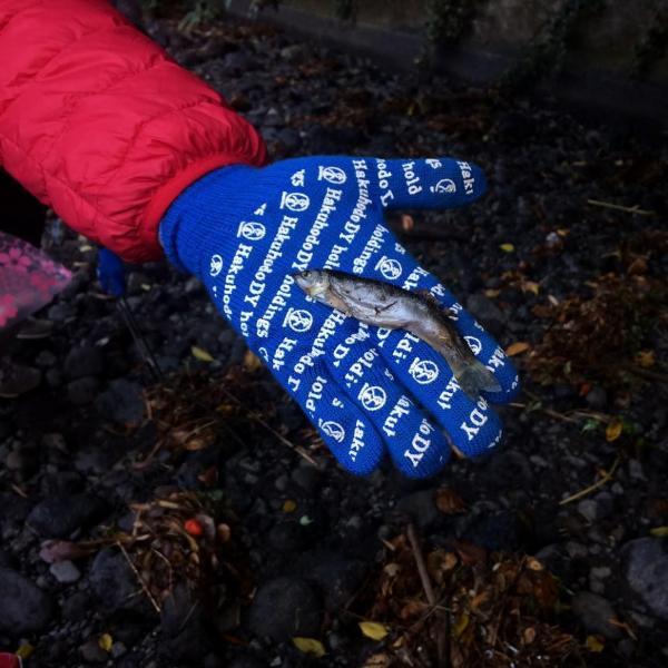 念願の！！！川底掃除！画像