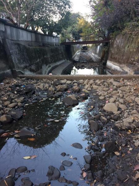 今日も川底掃除！画像