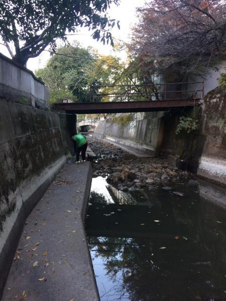 今日も川底掃除！画像