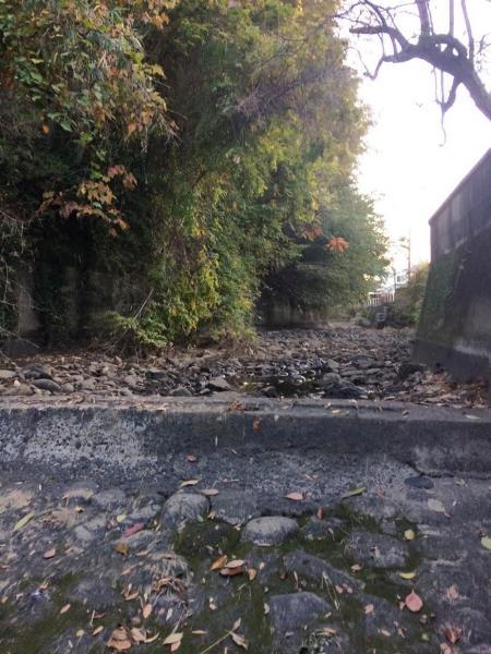 今日も川底掃除！画像