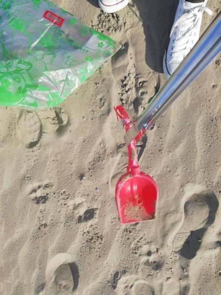 2019年最後の海岸お掃除。画像