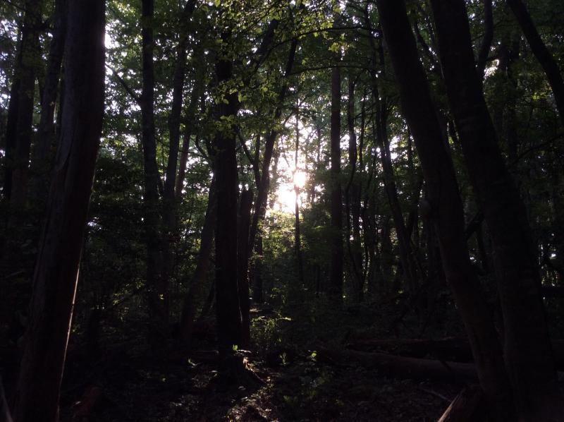 あらためまして！南信州チーム。画像