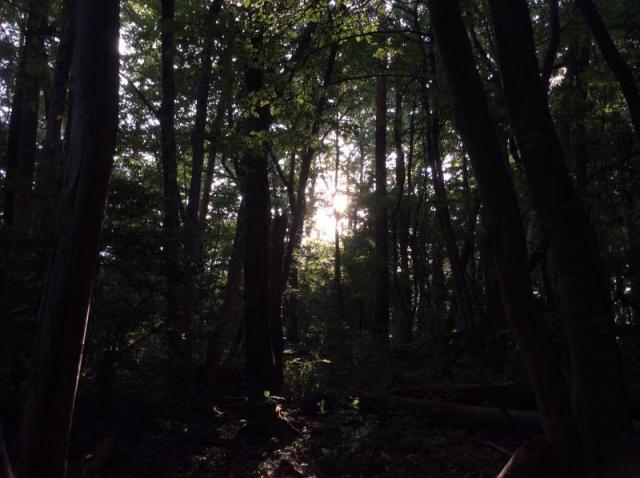 あらためまして！南信州チーム。