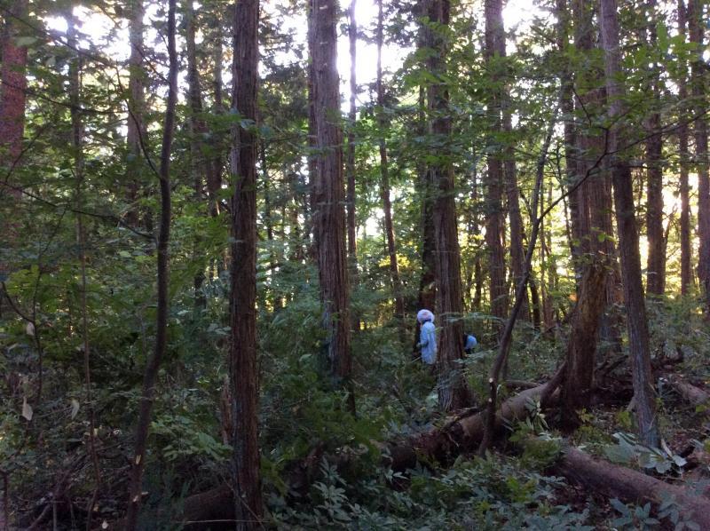 あらためまして！南信州チーム。画像