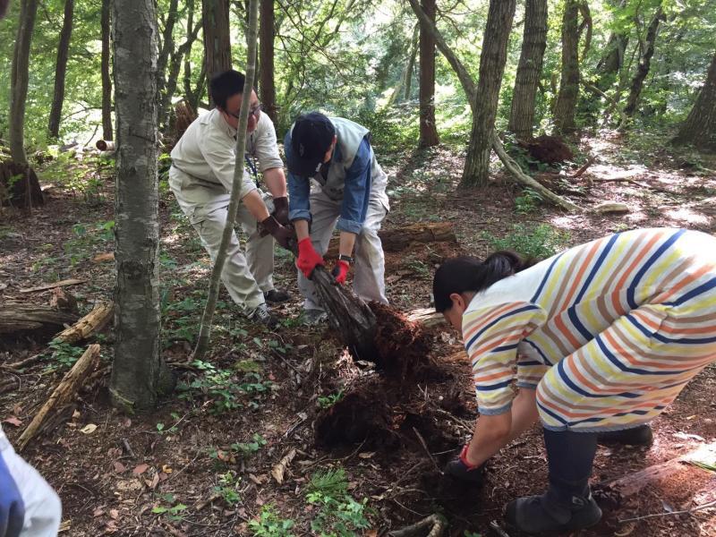 あらためまして！南信州チーム。画像