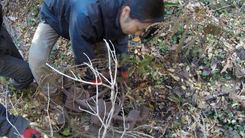 あらためまして！南信州チーム。画像