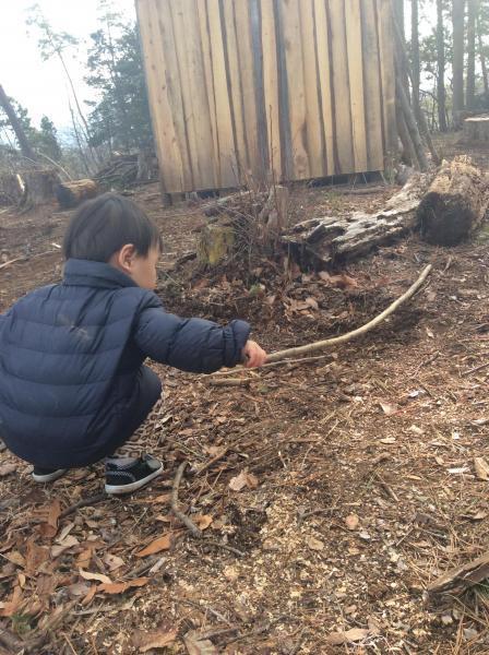 森あそび★画像