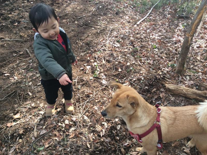 森あそび★画像