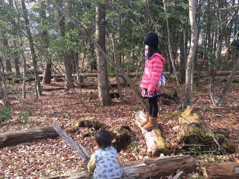 森あそび★画像