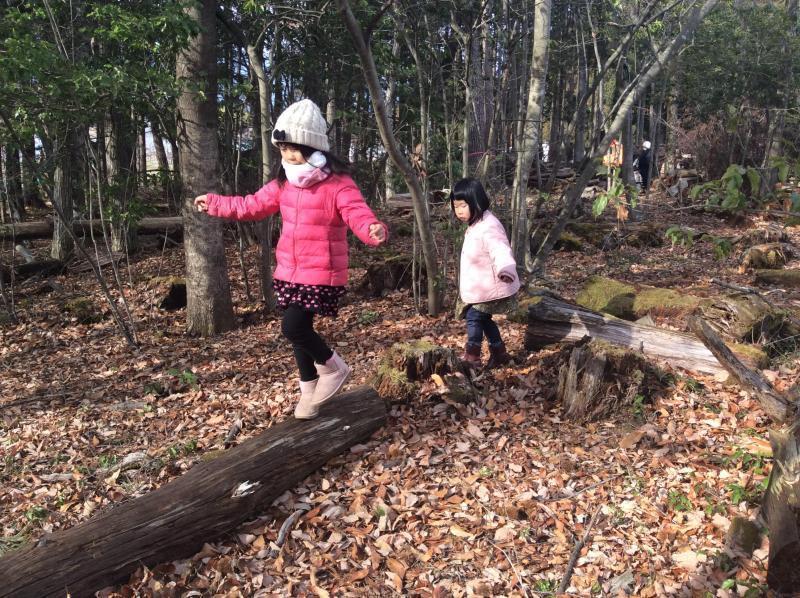 森あそび★画像