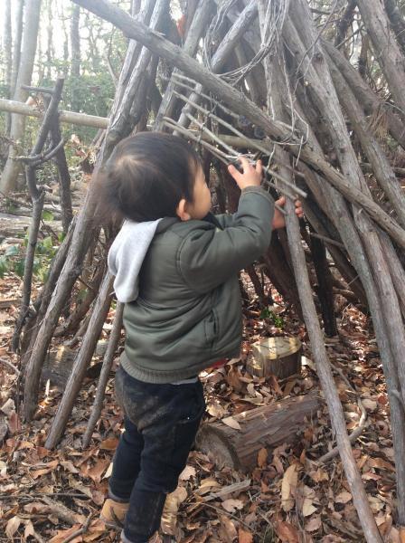 森あそび★画像