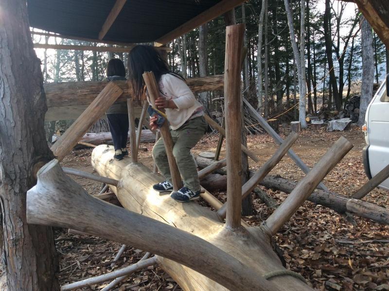 森あそび★画像