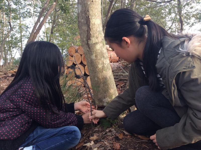 森あそび★画像