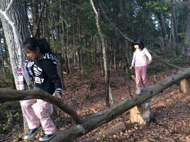 森あそび★画像