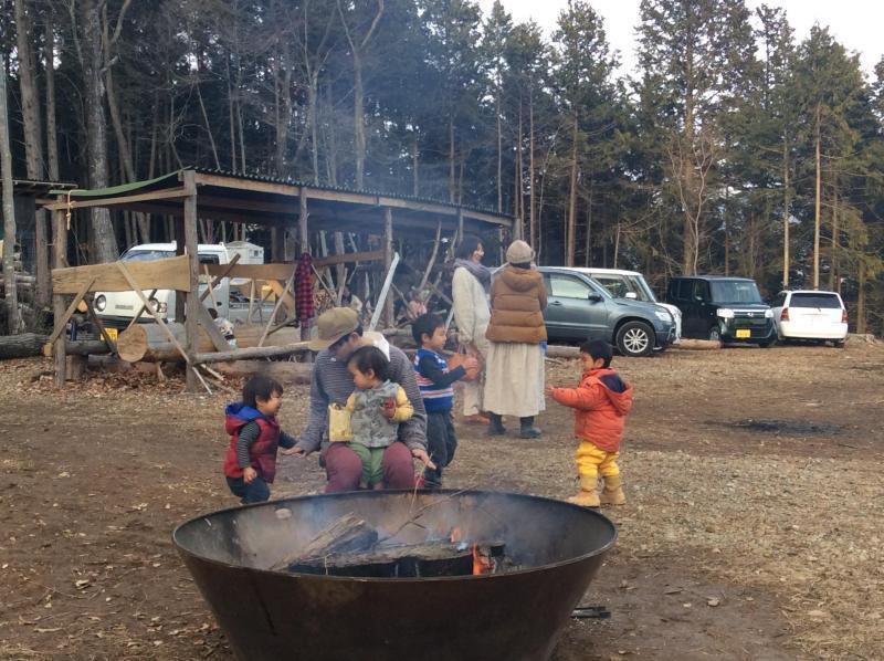 森あそび★画像