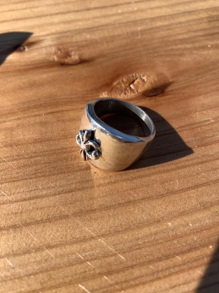 定例。不思議な拾い物。画像