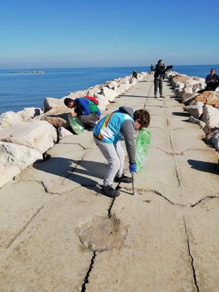 また海です！画像