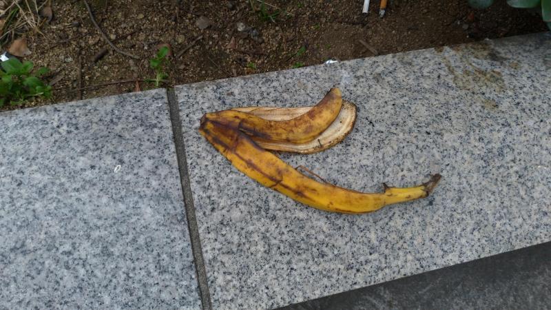 【北新地】寒の戻りの定例おそうじ【2月第2土曜日】画像