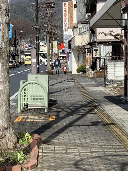 そうだ、動物園に行こう画像