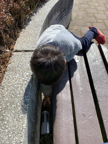 そうだ、動物園に行こう画像