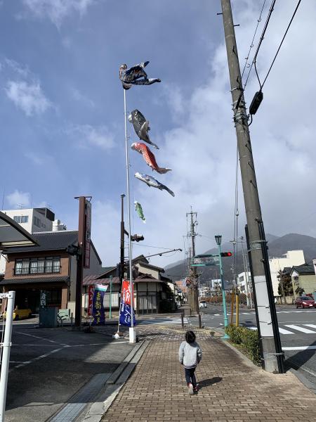 そうだ、動物園に行こう画像
