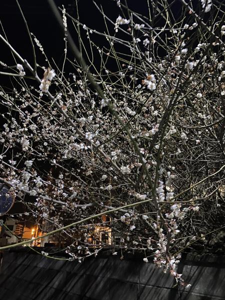 【阿蘇大津】プレ夜掃除2画像