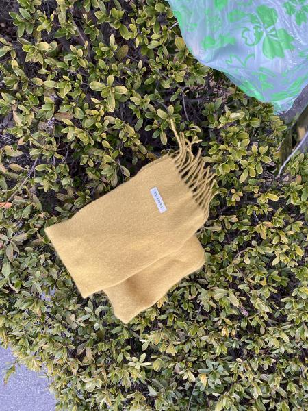 【阿蘇大津】プレ夜掃除2画像