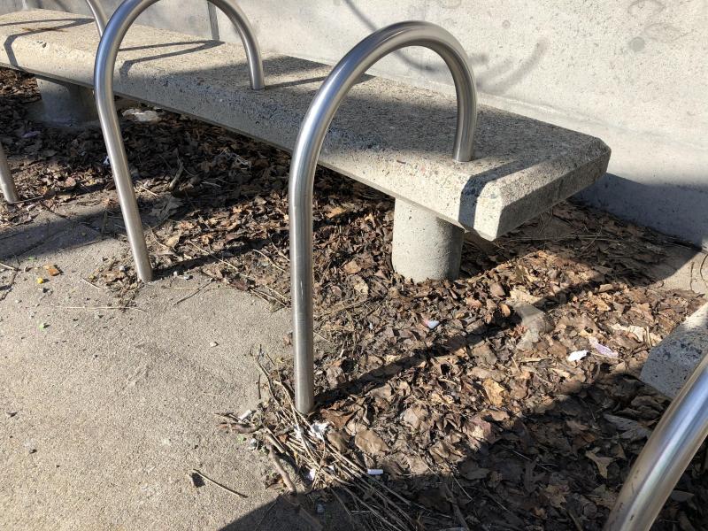 ボストンチーム 2月度定例ゴミ拾い画像