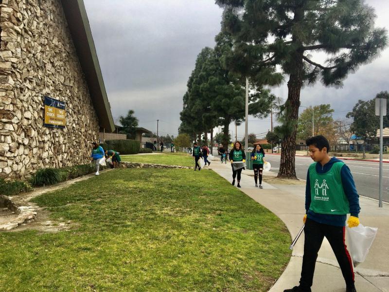 Greenbird cleanup！画像