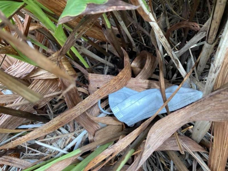 【井土ヶ谷】定期清掃画像