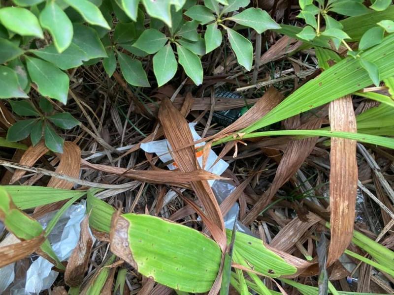 【井土ヶ谷】定期清掃画像