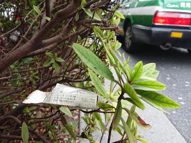 第70回 サタデー浅草そうじ　雷門通り～東武浅草駅前～隅田公園～吾妻橋画像
