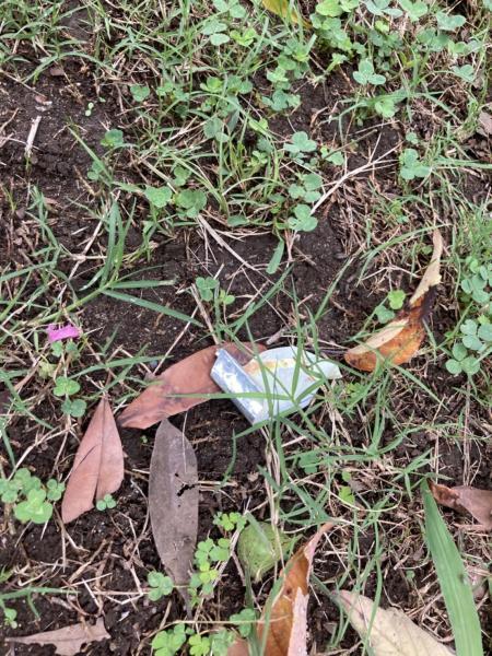 【反町】反町公園クリーンナップ大作戦画像