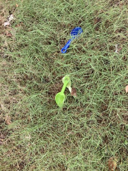 【反町】反町公園クリーンナップ大作戦画像