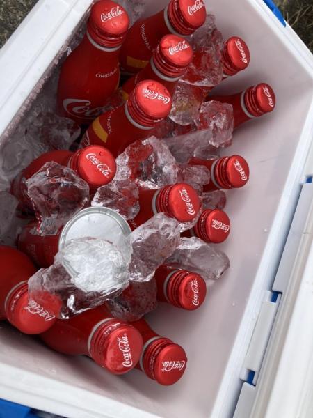 【反町】反町公園クリーンナップ大作戦画像