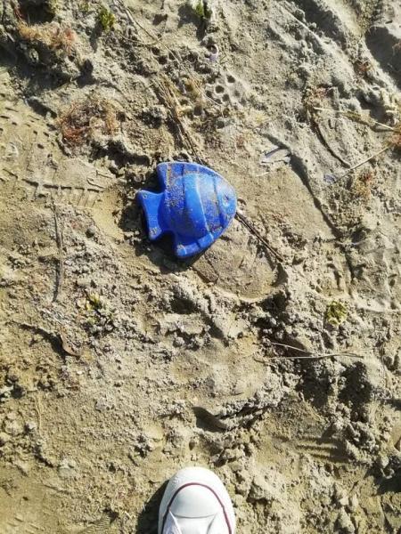 久々に海で！画像